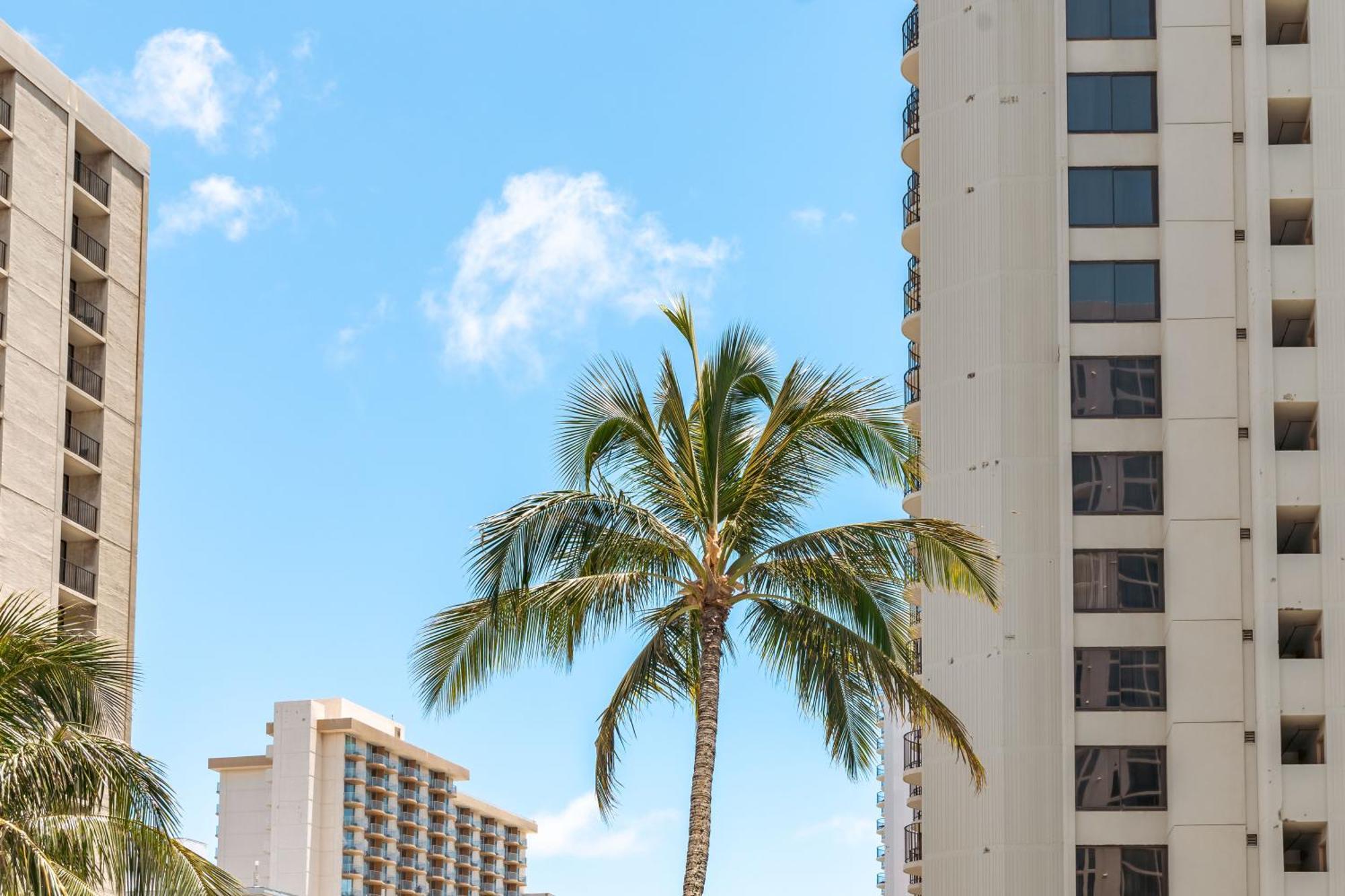 1Br With Great Ocean Views, 1 Block To Waikiki Beach 호놀룰루 외부 사진